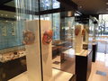 Thumb_7，展示コーナー　1-3